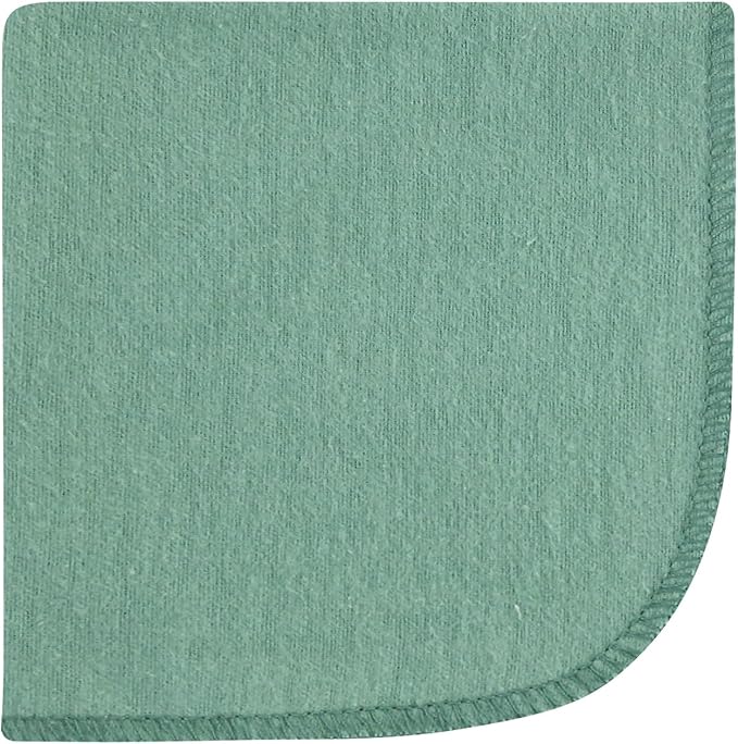 Hudson Baby Unisex Baby Flannel Washcloths, Boy Dino World 12Pk, One Size