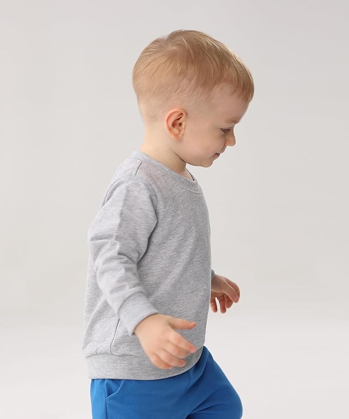 GFQLONG Toddler Boys 2 Pack Cotton Crewneck Sweatshirt, Baby Solid Long Sleeve Pullover Tops