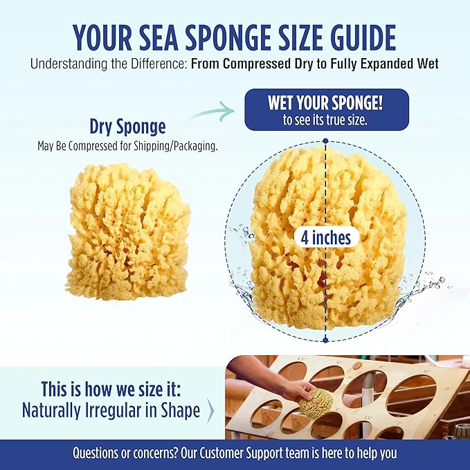 Baby Buddy Absorbent Natural Bath Sponge, Ultra Soft Premium Sea Wool Sponge, Soft on Baby's Tender Skin, Bath Accessories Baby and Kids, Infant Bath, Biodegradable, Hypoallergenic, 2pk, 4in