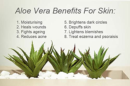 Organic Hair Solution Body Lotion with Soothing Aloe Vera and Vitamin E- Dry Skin, Non-Greasy-Shea Butter, Almond oil- For both Males & Females- Natural Fragrance-Vegan (Sweet Pea)
