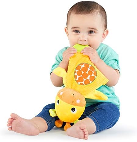 Bright Starts Snuggle & Teethe BPA-Free Crinkle Teething Plush Baby Toy - Giraffe,(Pack of 6)