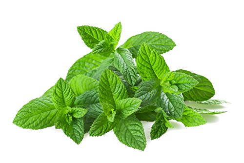 US Organic 100% Pure Spearmint Essential Oil - USDA Certified Organic, Steam Distilled - W/Euro droppers (More Size Variations Available) (10 ml / .33 fl oz)