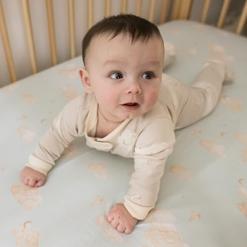 Burt's Bees Baby Boys Sleep and Play PJs, 100% Organic Cotton One-Piece Zip Front Romper Jumpsuit Pajamas
