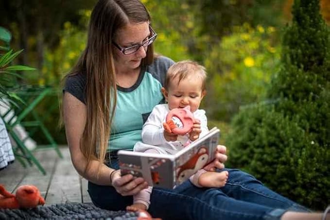 Mary Meyer Teething Toys Leika Silicone Baby Teether for Babies 0-12 Months, 9-Inches, Little Fox