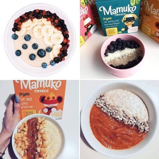 MAMUKO Organic Porridge - Rice porridge with No Added Sugar, Milk & Preservatives - High Fiber porridge Developed with EU Experts - Healthy porridge Ideal for Little Ones from 4+ Months - 2 Pack