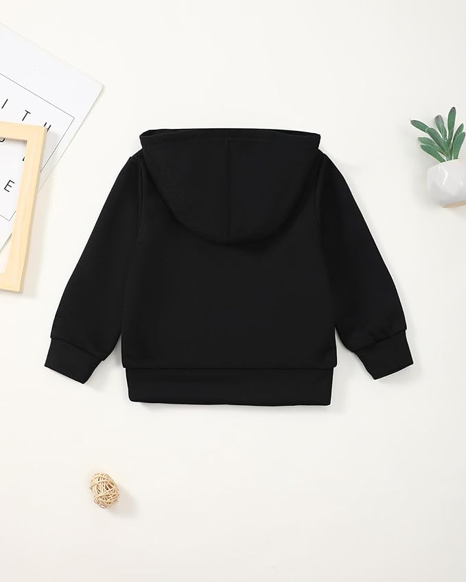 NZRVAWS Toddler Baby Boy Clothes 6 12 18 24 Months Long Sleeve Hoodie Sweatshirt Fall Winter 2-8T Little Boy Outfits