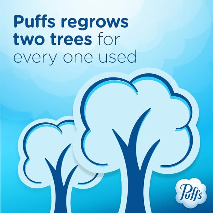 Puffs Ultra Soft Facial Tissues, 1 Family Size Box, 124 Facial Tissues Per Box (Pack of 4)