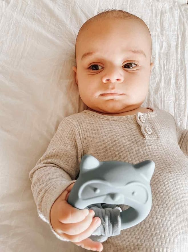 Mary Meyer Teething Toys Leika Silicone Baby Teether for Babies 0-12 Months, 9-Inches, Little Raccoon
