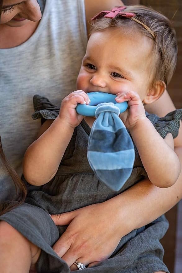 Mary Meyer Teething Toys Leika Silicone Baby Teether for Babies 0-12 Months, 9-Inches, Little Raccoon