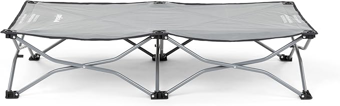 Regalo My Cot Portable Travel Bed, Grey, 1 Count (Pack of 1)