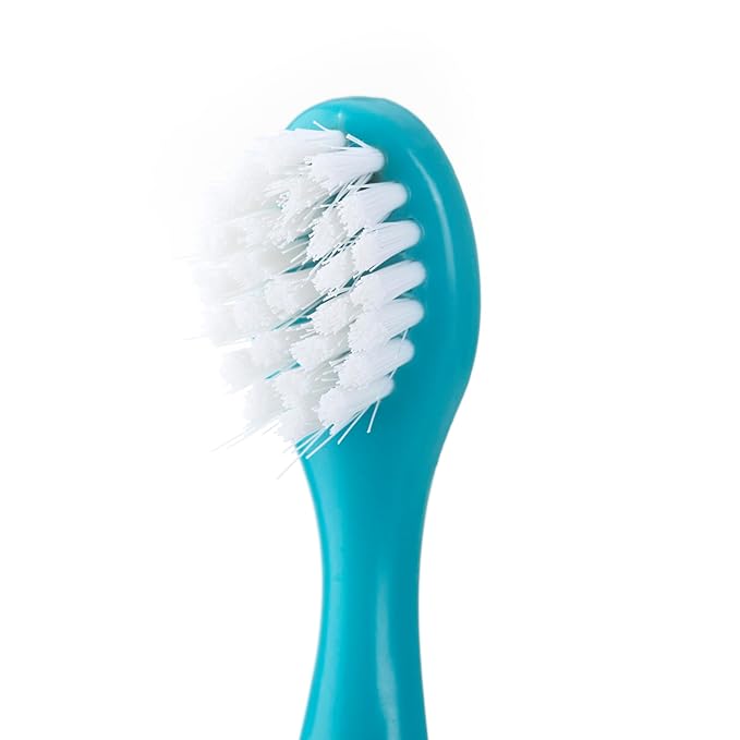 Nuby 4-Stage Oral Care Set with 1 Silicone Finger Massager, 2 Massaging Brushes, 1 Nylon Bristle Toddler Tooth Brush, Green/Aqua