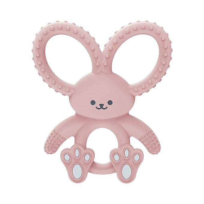 Dr. Brown's Flexees Teether,Pink Bunny,Soft 100% Silicone Baby Teether,BPA Free,3m+,(Pack of 6)