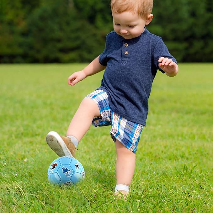 Toddler Soccer Ball Size 2 - Small Soft Kids Ball 2 Pack for Ages 1-3 3-5 - Cartoon Sports Toy Boys Girls - Soccer Gift for Indoor Outdoor Games - Birthday/First/Valentine Gift for Toddlers Kids