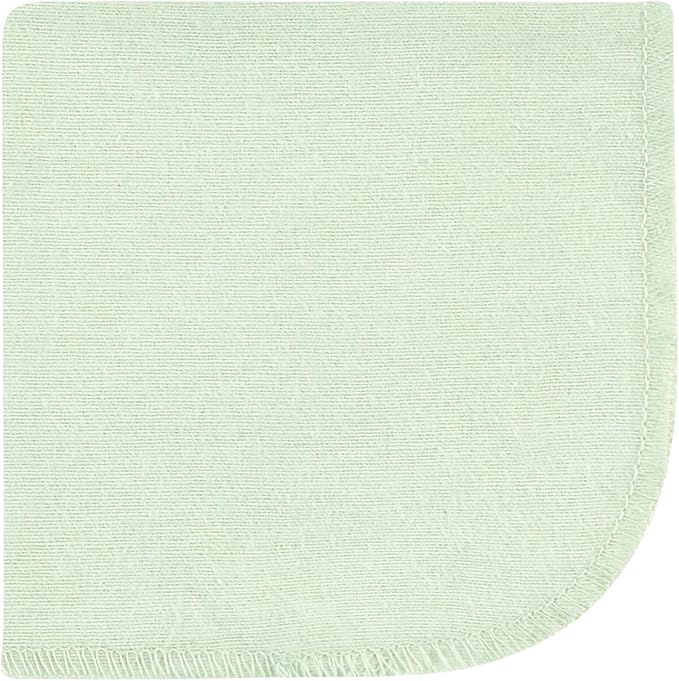 Hudson Baby Unisex Baby Flannel Washcloths, Dinosaur Adventures 12Pk, One Size