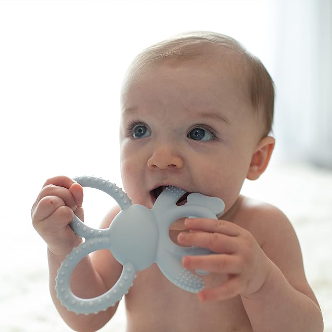 Dr. Brown's Flexees Blue Bunny, Soft 100% Silicone Baby Teether, BPA Free, 3m+ (Pack of 6)