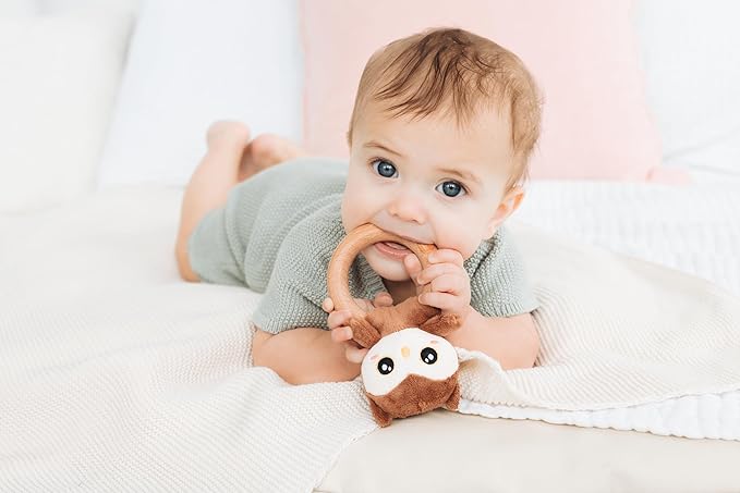 Pearhead Owl Wooden Baby Teething Ring, Plush Animal Infant Teether with Natural Wood, BPA-Free Sensory Rattle Toy for Newborns, 0 Months+