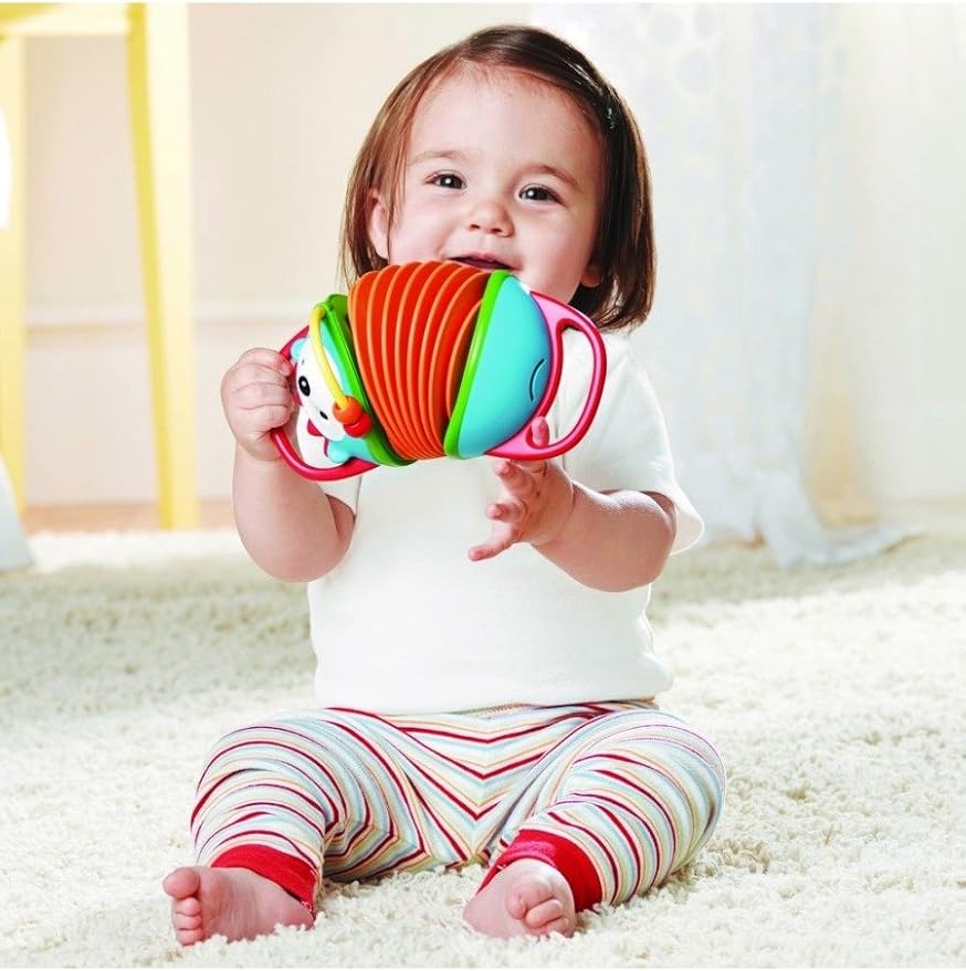Skip Hop Accordian Baby Musical Toy, Explore & More, Hedgehog