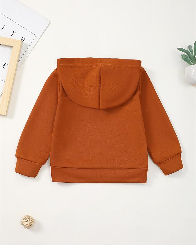 NZRVAWS Toddler Baby Boy Clothes 6 12 18 24 Months Long Sleeve Hoodie Sweatshirt Fall Winter 2-8T Little Boy Outfits