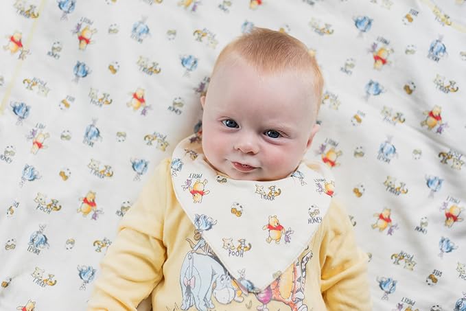 Disney Winnie the Pooh,Lion King,Pixar Monsters Inc. Baby Sleep N' Play Coverall Bib Blanket and Burp Cloth 4 Piece Set
