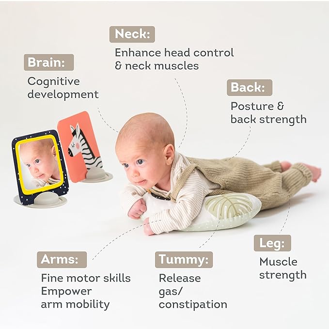 Taf Toys Tummy Time Set with Ergonomic Toy, Double-Sided High Contrast Black & White Flash Cards & Mirror Card, Developmental Baby Play Mat Accessories & Card Stands for Newborn Infant Tummy Time