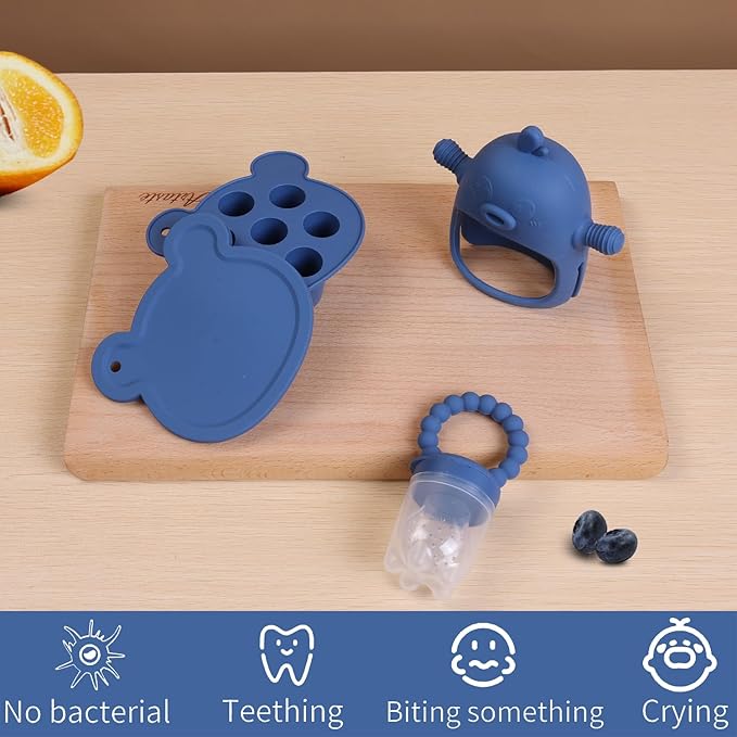 Baby Fruit Feeder & Breastmilk Popsicle Mold Set – 3 Pack Silicone Teething Relief Kit with Food Feeder Pacifier, Freezer Tray with Lid & Baby Teether (Steel Blue)