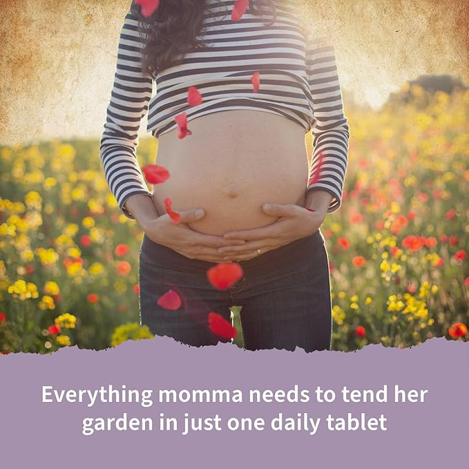 Garden of Life Prenatal Vitamins for Women, Organics Folate for Energy & Healthy Fetal Development,Non-constipating Iron,Vitamin C, B6, B12, D3,Non-GMO,Gluten-Free, Vegan, 90 Day Supply (Pack of 2)