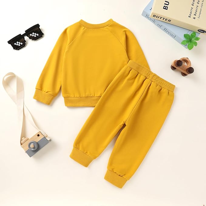 Fall Outfit for Toddler Boy Girl Long Sleeve Bear Sweatshirt Pant Sets Winter Pullover Clothes