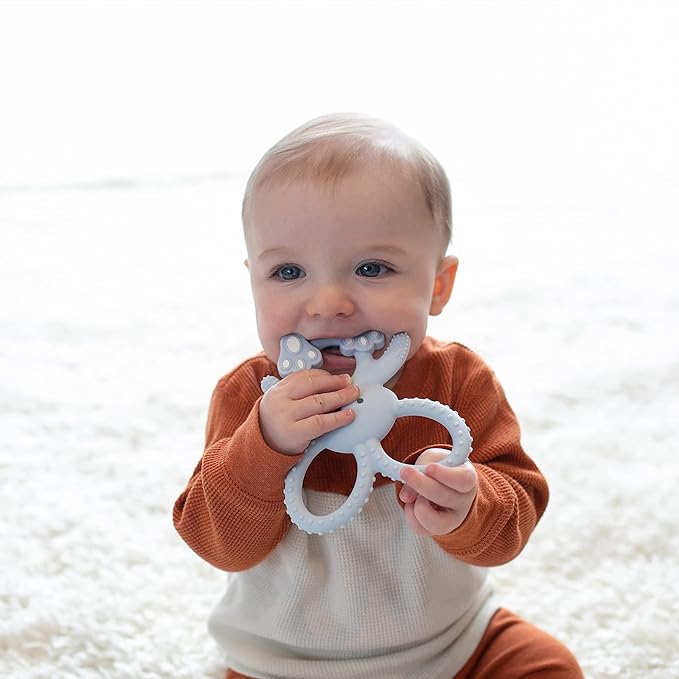 Dr. Brown's Flexees Blue Bunny, Soft 100% Silicone Baby Teether, BPA Free, 3m+ (Pack of 6)
