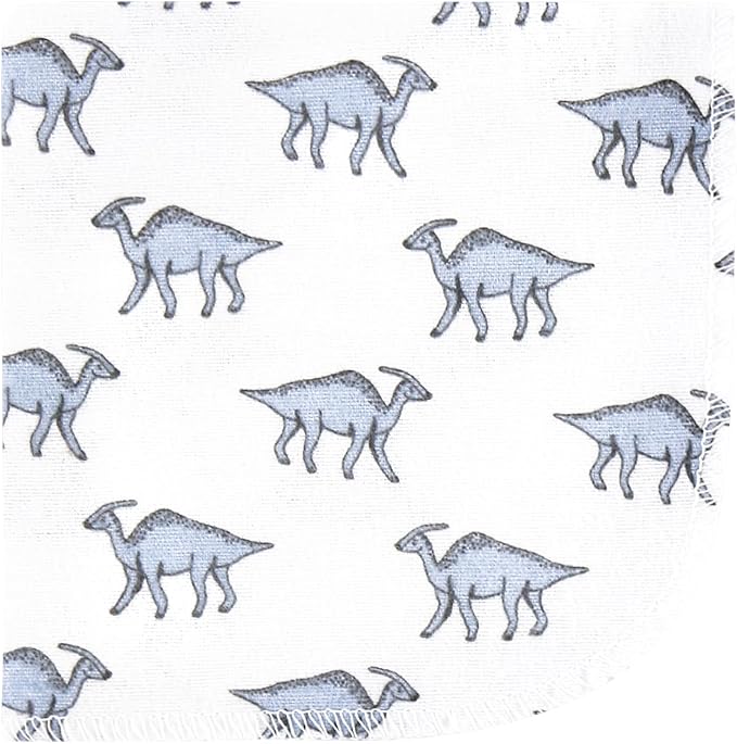 Hudson Baby Unisex Baby Flannel Washcloths, Boy Dino World 12Pk, One Size