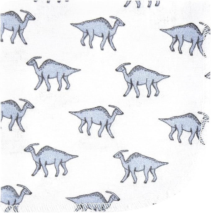 Hudson Baby Unisex Baby Flannel Washcloths, Boy Dino World 10Pk, One Size