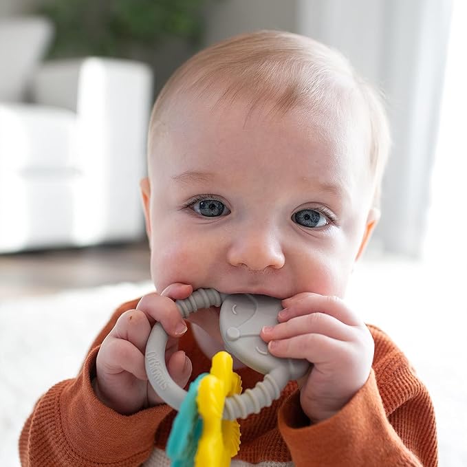 Dr. Brown's Learning Loop Silicone Ring Teether, Fox - 3m+