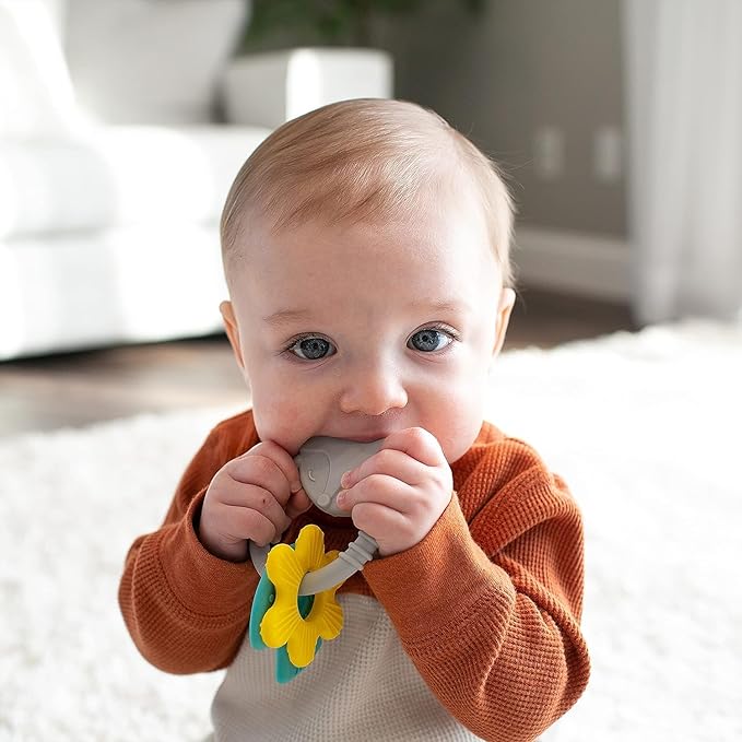 Dr. Brown's Learning Loop Silicone Ring Teether, Fox - 3m+