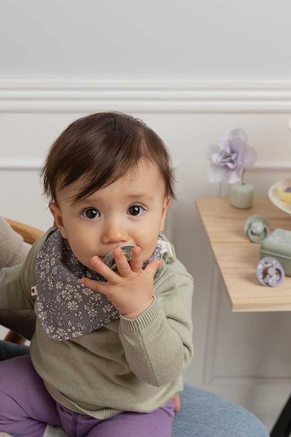 BiBS Liberty Pacifier 2-Pack, BPA Free Pacfiers with Natural Latex Round Nipple, Made in Scandinavia, Size 1 (0-6 Months), Eloise Dusty Blue