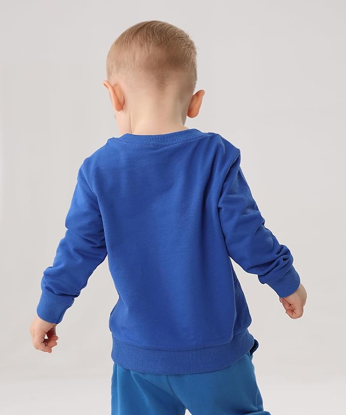GFQLONG Toddler Boys 2 Pack Cotton Crewneck Sweatshirt, Baby Solid Long Sleeve Pullover Tops