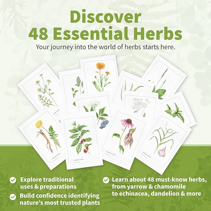 Herb Notes Flash Cards – Educational Plant Learning Cards with Botanical Illustrations – 48-Card Set for Plant Identification, Nature Study & Classroom Learning