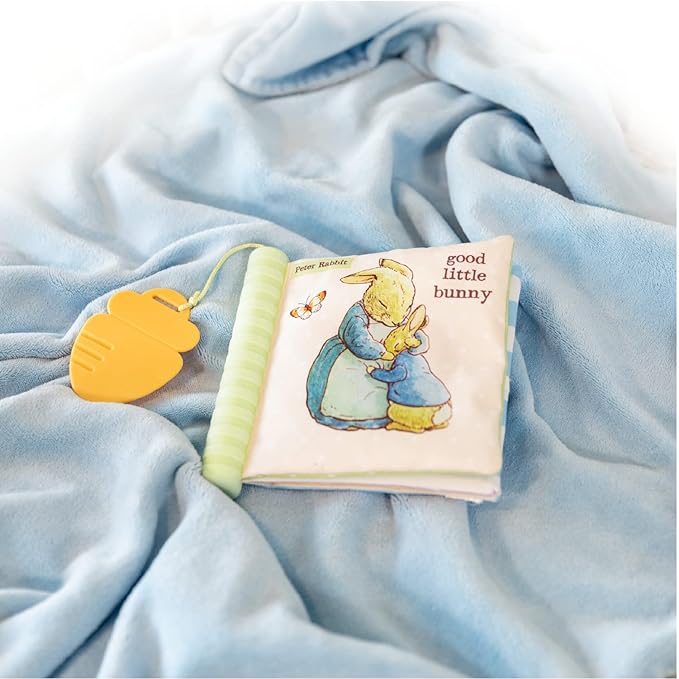KIDS PREFERRED Beatrix Potter Peter Rabbit Soft Teether Book, 1 Count (Pack of 1), Multicolor