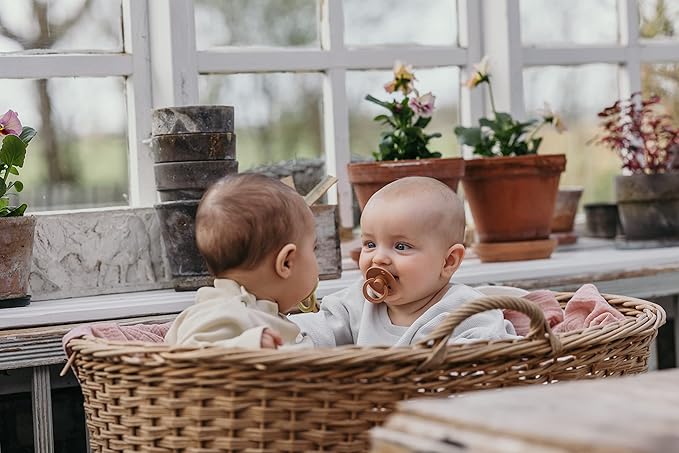 BIBS Pacifiers 0-6 Months | Colour Collection 2-Pack | BPA-Free Anatomical Natural Rubber Nipple | Made in Denmark | Island Sea/Forest Lake Color Pacifier