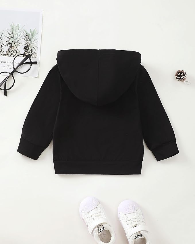NZRVAWS Toddler Baby Boy Clothes 6 12 18 24 Months Long Sleeve Hoodie Sweatshirt Fall Winter 2-8T Little Boy Outfits