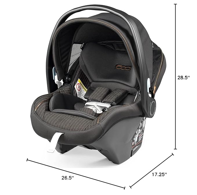 Peg Perego Primo Viaggio Nido - Rear Facing Infant Car Seat - Includes Base with Load Leg & Anti-Rebound Bar - for Babies 4 to 30 lbs - Made in Italy - Fiat 500 (Grey)
