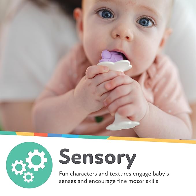 Nuby Silicone Fun Teethers - (2-Pack) Baby Teething Toy - Chick and Tuba Shapes - 3+ Months - Purple and Pink
