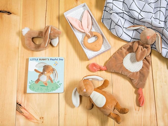 Mary Meyer Teething Toys Leika Silicone Baby Teether for Babies 0-12 Months, 9-Inches, Little Bunny