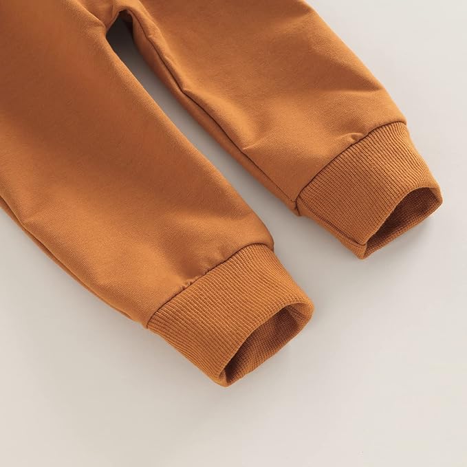 Toddler Baby Boy Clothes Solid Color Long Sleeve Crewneck Sweatshirt Top Casual Pants Set 2Pcs Fall Winter Outfits