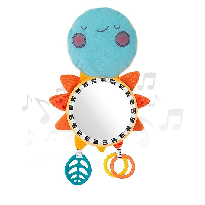 Sassy My Little Sunshine Mirror