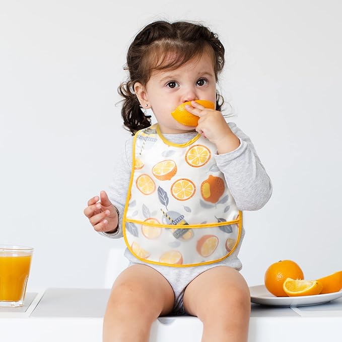 R HORSE 5Pcs Baby Bibs Set Toddler Bibs with Crumb Catcher Pocket & Snap Button Waterproof Baby Feeding Bibs for 6-24 Months