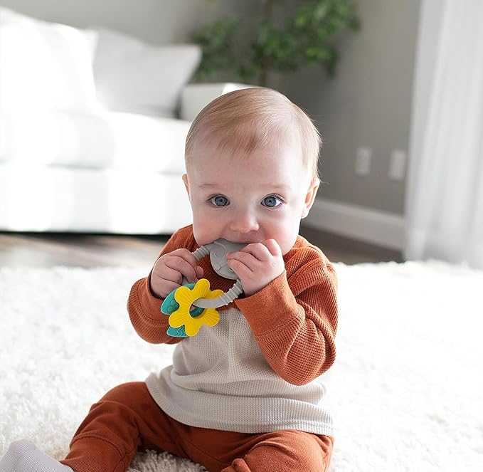 Dr. Brown's Learning Loop Silicone Ring Teether, Fox - 3m+