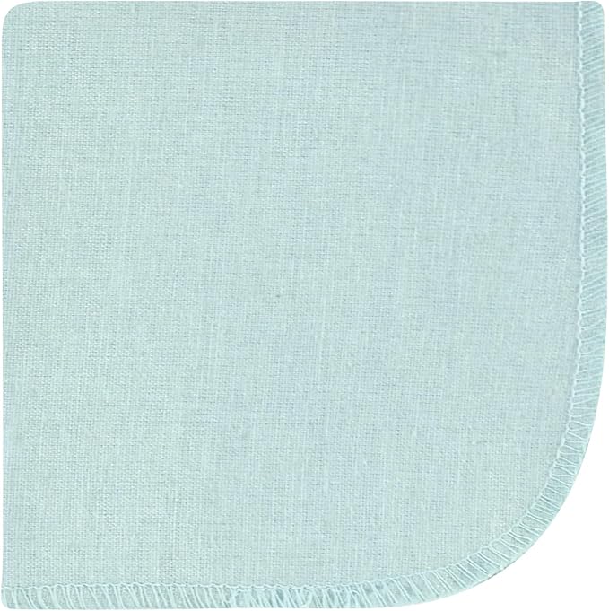 Hudson Baby Unisex Baby Flannel Washcloths, Dinosaur Adventures 12Pk, One Size