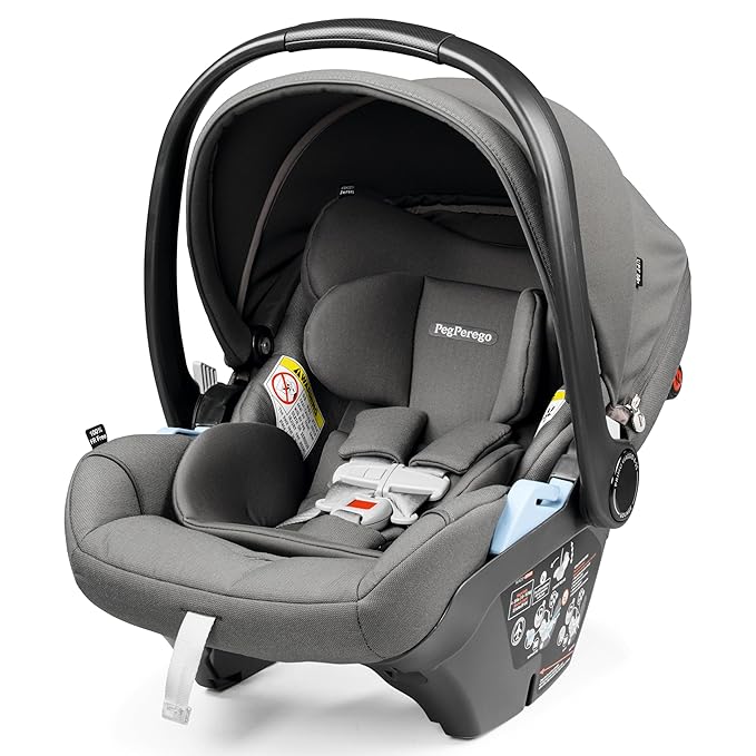 Peg Perego Primo Viaggio Nido - Rear Facing Infant Car Seat - Includes Base with Load Leg & Anti-Rebound Bar - for Babies 4 to 30 lbs - Made in Italy - Mercury