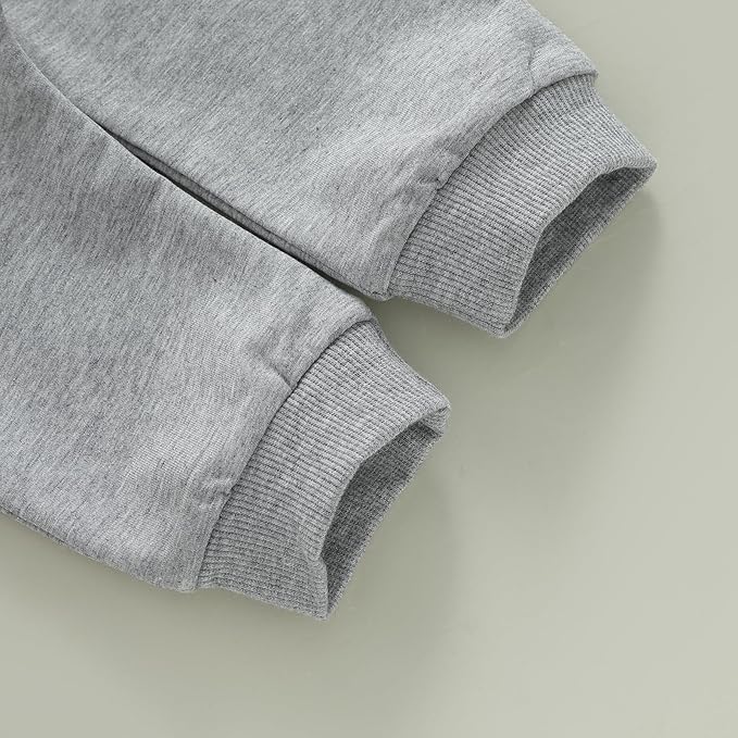 WZTYYDS Toddler Baby Boy Fall Clothes Letter Truck Long Sleeve Pullover Sweatshirt Tops Joggers Pants Set Winter Outfits