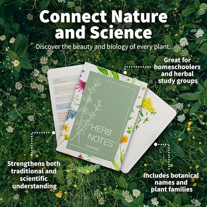 Herb Notes Flash Cards – Educational Plant Learning Cards with Botanical Illustrations – 48-Card Set for Plant Identification, Nature Study & Classroom Learning