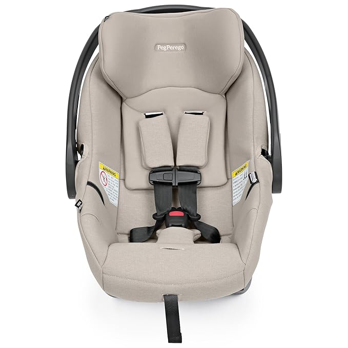 Peg Perego Primo Viaggio Nido - Rear Facing Infant Car Seat - Includes Base with Load Leg & Anti-Rebound Bar - for Babies 4 to 30 lbs - Made in Italy - Astral